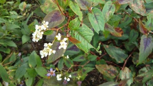rblog-20171009092128-00.jpg
