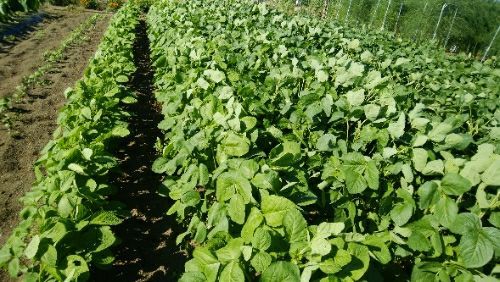 rblog-20180715213014-01.jpg