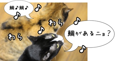 画像 2372.jpg