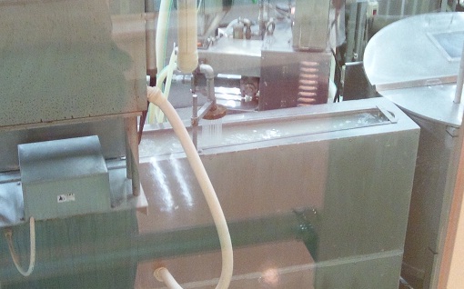 こんにゃく博物館3