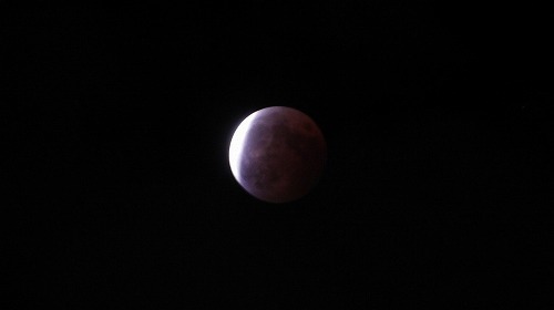 s-500_s-20141008_皆既月食3_P1130052.jpg