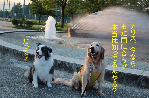 嫌なのな