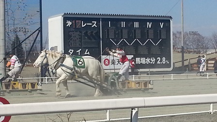 20160410_1403141.jpg
