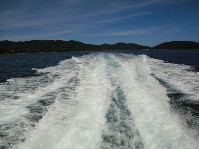 085 (640x480).jpg