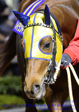 11HighlandGrass121714Kw11R_08