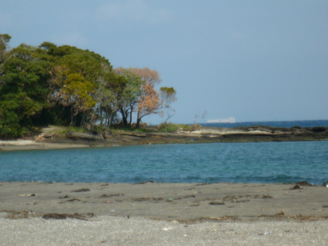 P1020390.JPG