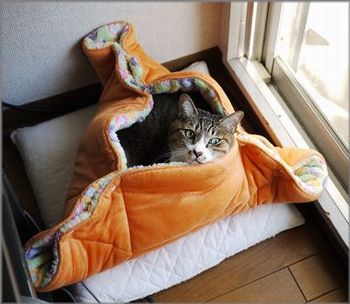 出来上がり～