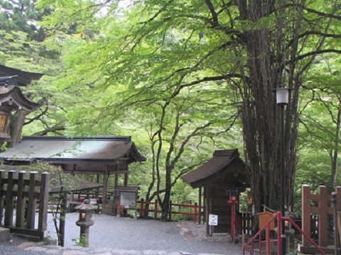 本宮９カツラ.jpg