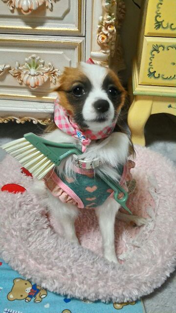 rblog-20141229034054-00.jpg
