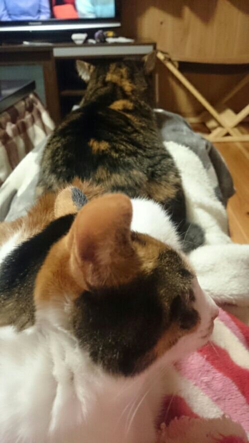 rblog-20170110134740-04.jpg