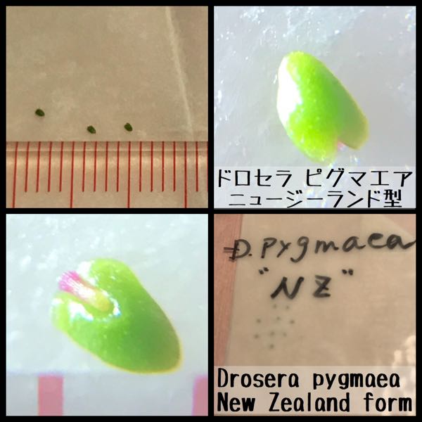 rblog-20180111000558-00.jpg