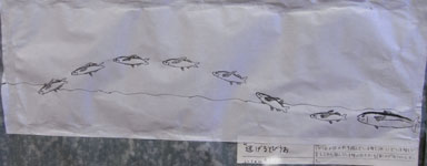 taku-3
