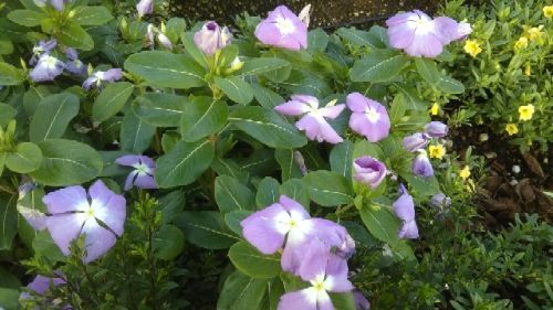 rblog-20180922173610-05.jpg