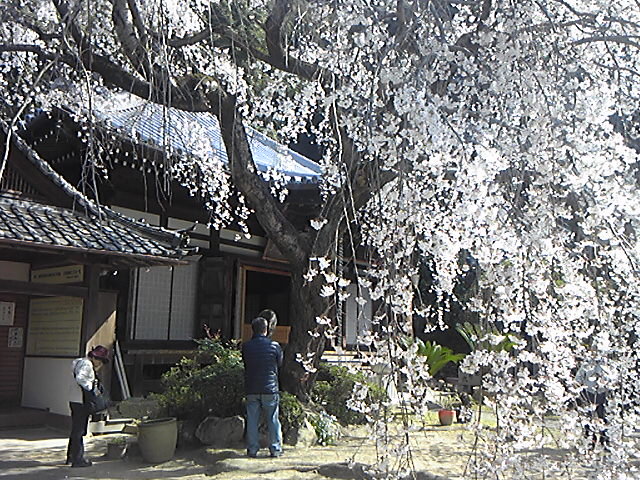 130330_093125.jpg