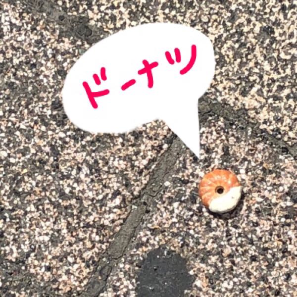 rblog-20180711182817-00.jpg