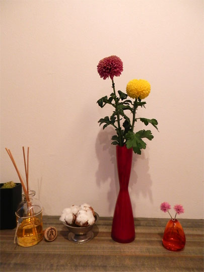 flower2012112701.jpg