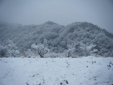 2014.12雪景色