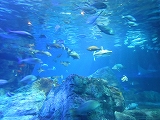 DSCN1357.jpg