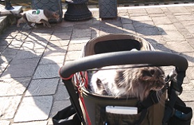 DSC_5571-16.jpg