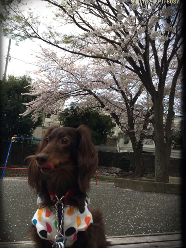 rblog-20140407124904-01.jpg