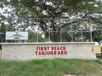 PB260080.JPG