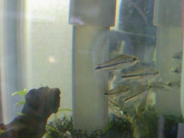 2012-03-03 13.39.54+1.jpg