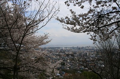IMG_7239.jpg
