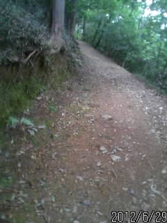 山頂へ向かう道２