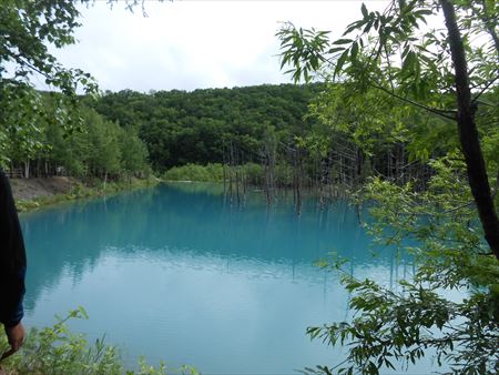 北海道旅行　青い池