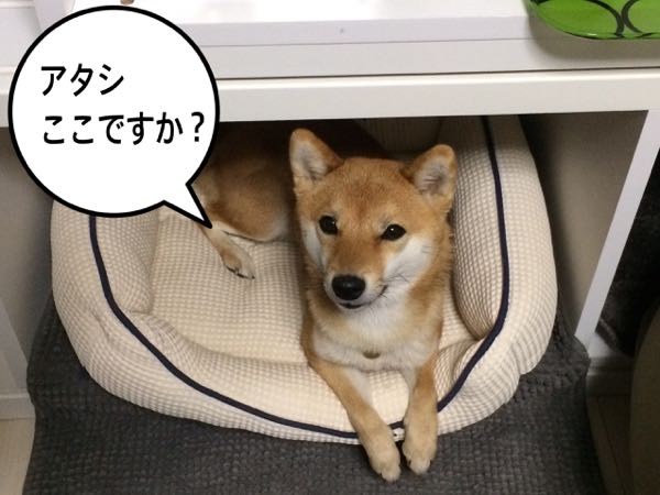 rblog-20170122150126-02.jpg