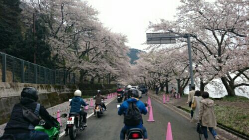 rblog-20170416202948-01.jpg