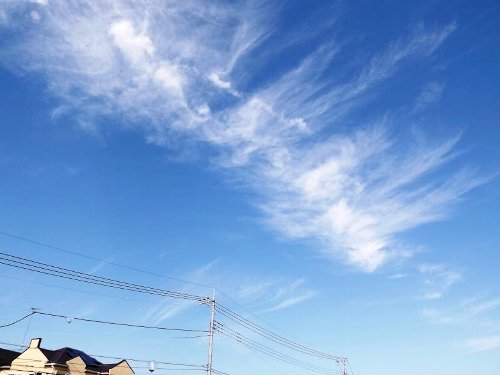 DSCF3814_SP0000-b.jpg