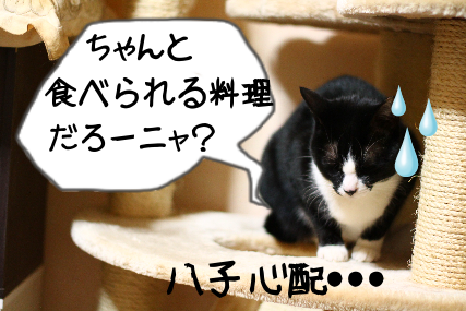 IMG_1302.png