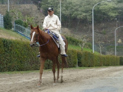 P1050051 (400x300).jpg