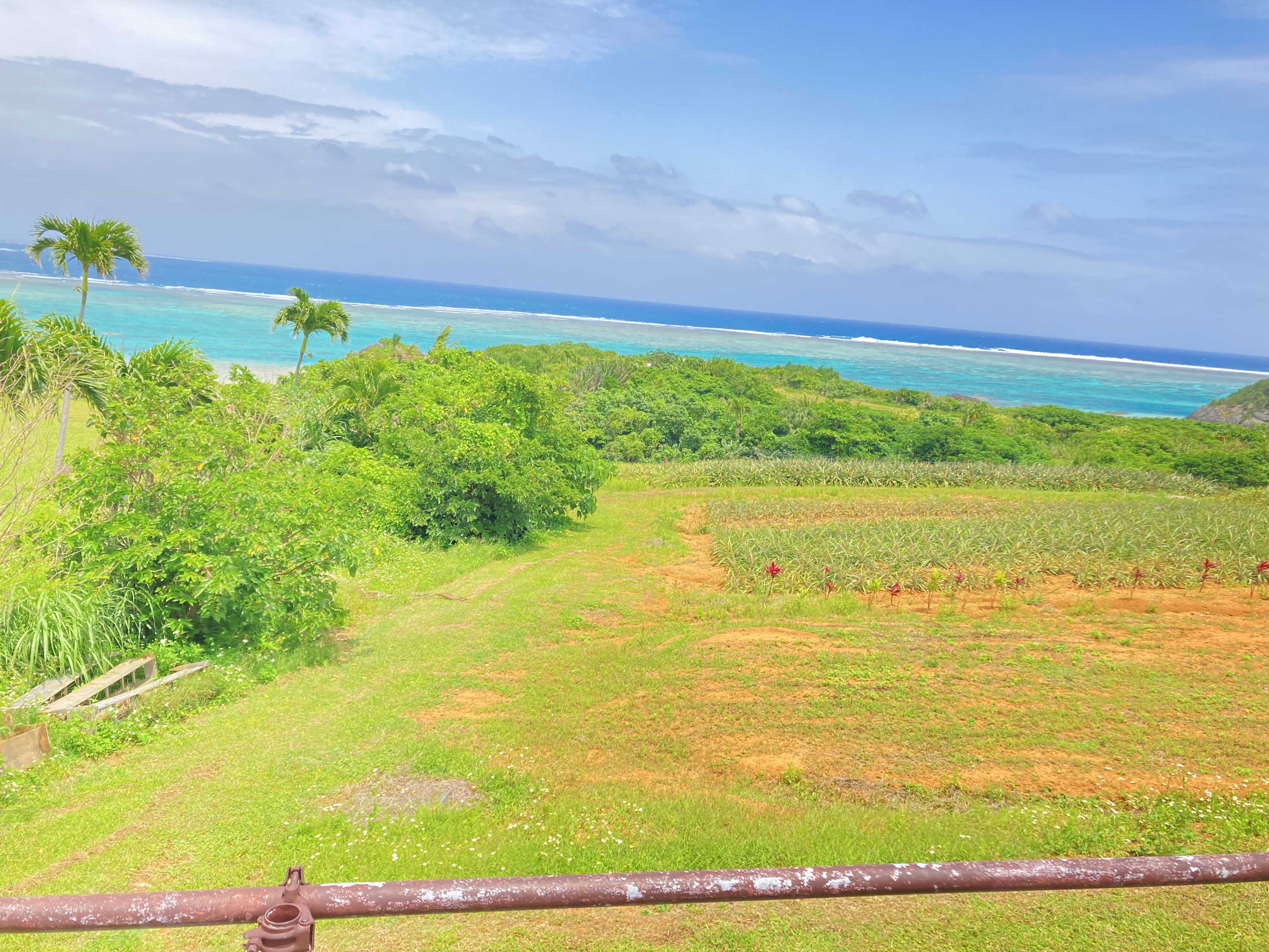 いてまだにのブログ