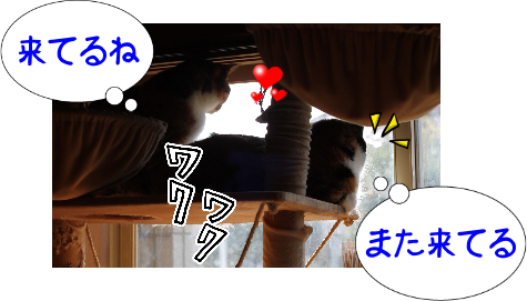 IMG_1451.png