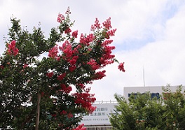 IMG_2055-24.jpg