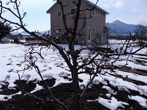 P1000105.JPG