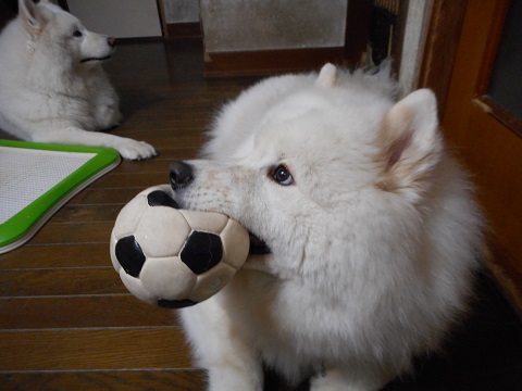DSCN0387.JPG