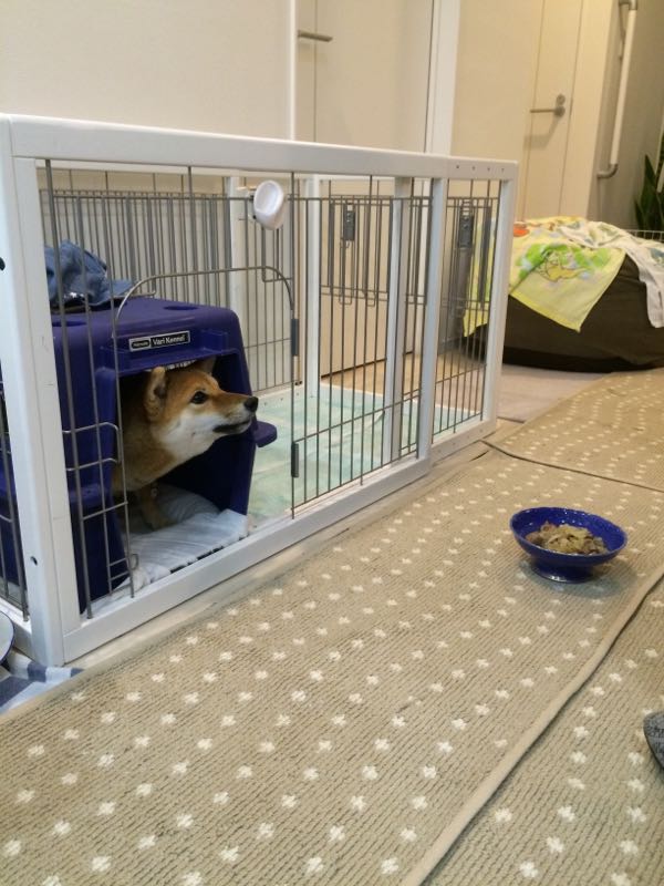 rblog-20151220095256-06.jpg