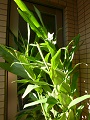 P1120005.JPG
