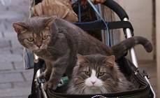IMG_5176-14.jpg