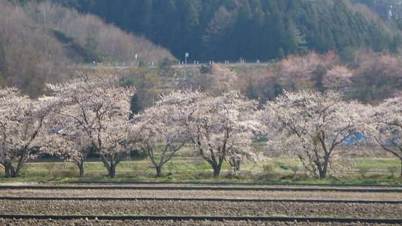 DSC00822-1.jpg