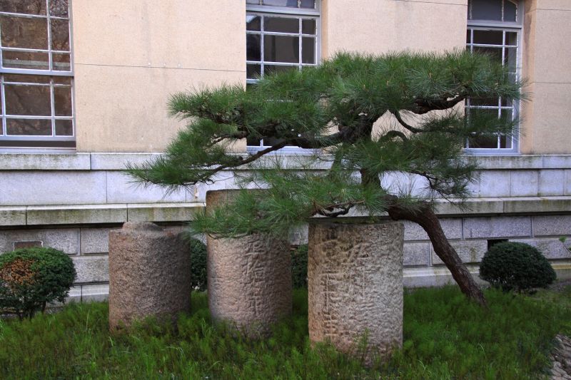 京都府庁旧本館_007.jpg