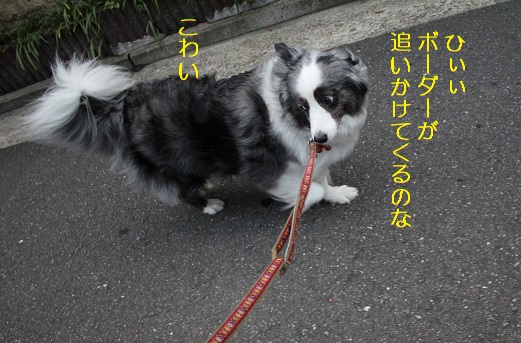 こわい