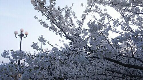 rblog-20180328170524-03.jpg