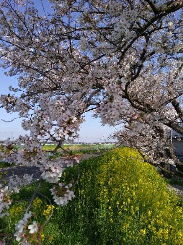 rblog-20180402175914-01.jpg