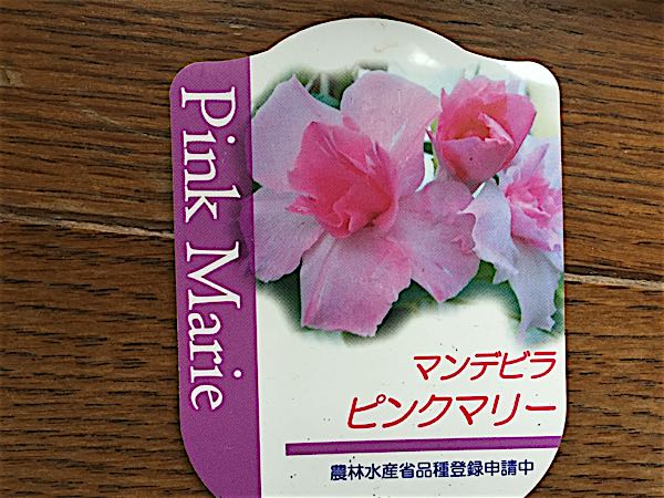 rblog-20150826083002-04.jpg