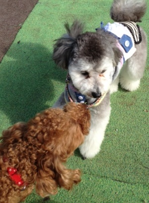 20121025i.JPG