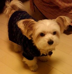2013012217230000.jpg